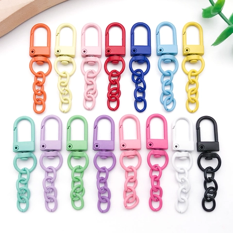 Crochets de Porte-Clés à Fermoir Mousqueton en Alliage de Zinc Peint Coloré Avec Anneau en D Rotatif Et Chaîne Pour Bricolage Bijoux