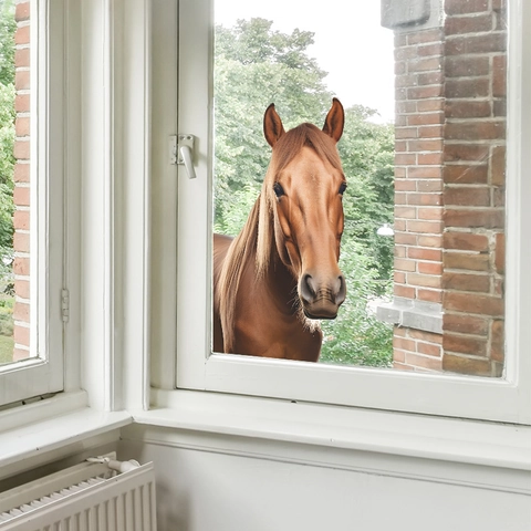 Realistic Brown Horse Head 3D Window Decal PVC Self Adhesive Wall Sticker For Kids Room Nursery Home Decor