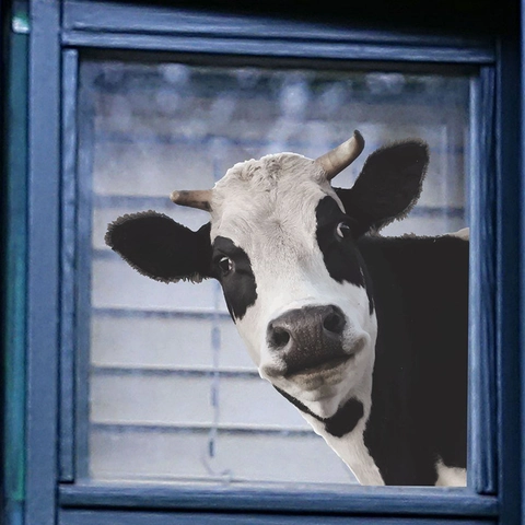 Pegatina Creativa de Vaca Asomada a la Ventana PVC Autoadhesiva Vinilo de Pared para Habitación Infantil Decoración del Hogar