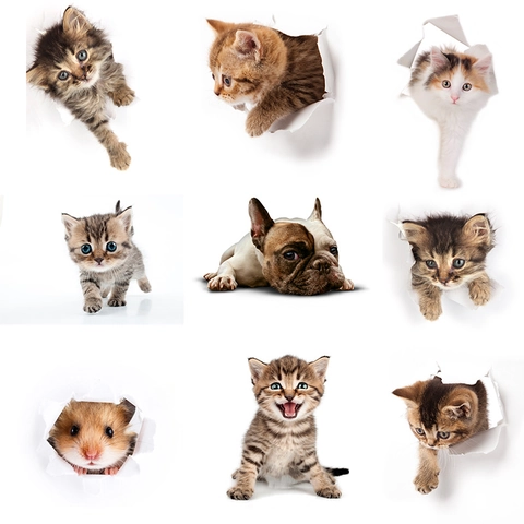 3D Animal Wall Sticker Cute Cat Dog Hamster Toilet Decal For Bathroom Bedroom PVC Removable Decorative Home Sticker