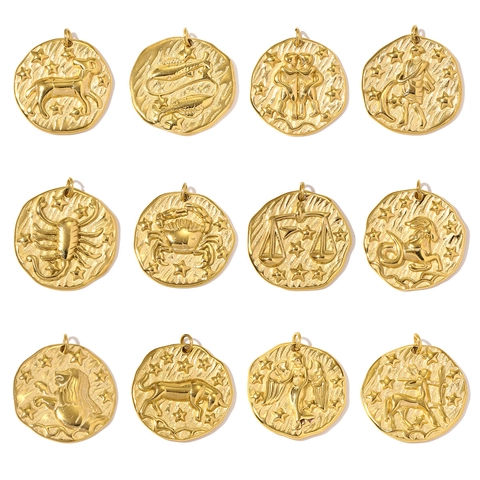Ciondoli a Forma di Moneta in Rilievo con i Dodici Segni Zodiacali in Acciaio al Titanio per Gioielli Fai da Te Charms Dorati