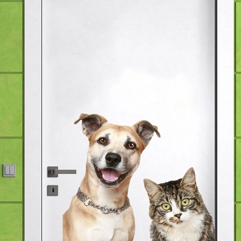 Realistische Katze Und Hund Wandaufkleber Wasserdichte Selbstklebende PVC Decals Für Wohnzimmer Kinderzimmer Dekoration
