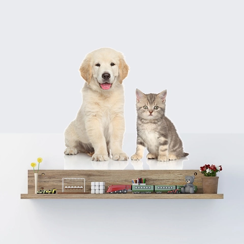 Realistischer Welpe und Katze Wandtattoo Wasserdicht PVC Tier Wandbild Für Wohnzimmer Kinderzimmer Schlafzimmer Deko Wandaufkleber