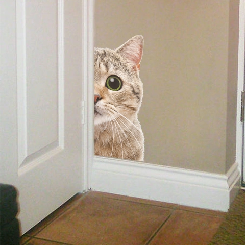 Adesivo da Parete 3D Animali Che Sbirciano Impermeabile in PVC per Portiera Auto Casa Camera da Letto Decoro Gatto Procione