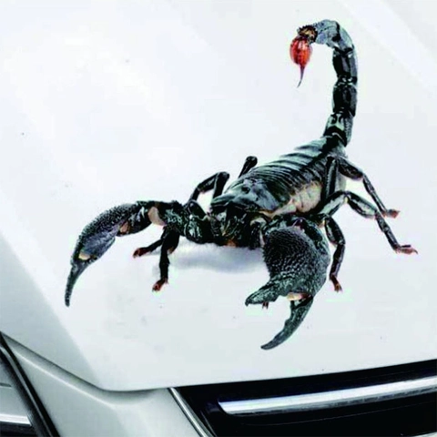 Pegatinas 3D Realistas de Animales para Coche Divertidos Escorpión Araña Iguana de PVC Impermeable Calcomanías para Decoración de Vehículos
