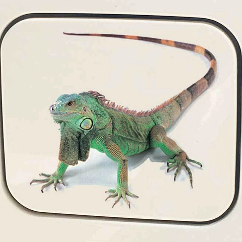 Pegatinas 3D Realistas de Animales para Coche Divertidos Escorpión Araña Iguana de PVC Impermeable Calcomanías para Decoración de Vehículos