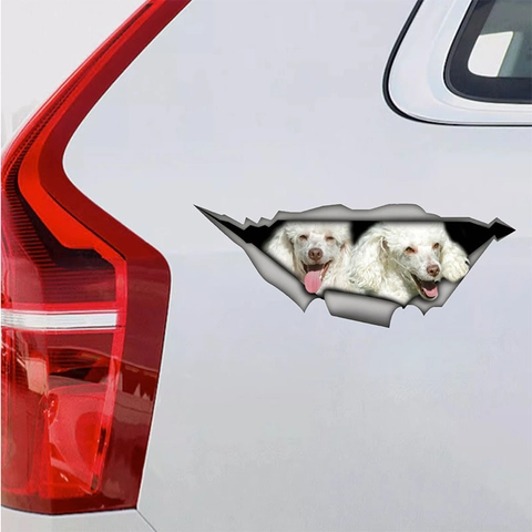 3D Realistic White Poodle Peeking Hole Car Decal Waterproof PVC Wall Sticker For Car Body Home Bedroom Living Room Decor