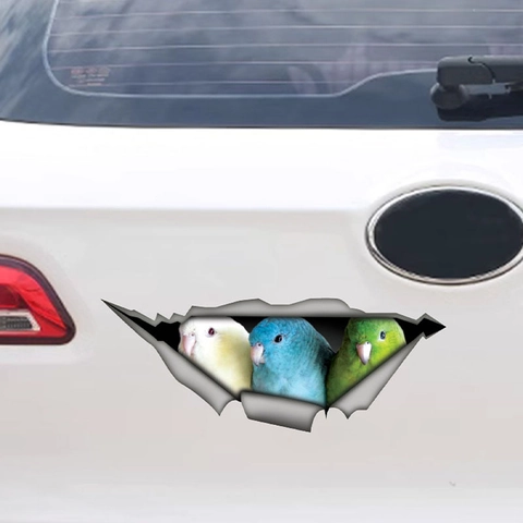 3D Parrot Car Sticker Creative Animal Wall Decals Removable PVC Waterproof Bird Peeking Hole Sticker For Home Decor