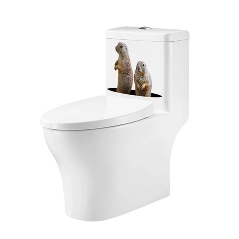Realistisches Dreidimensionales Murmeltier Wandtattoo Abnehmbarer PVC Dekorative Aufkleber Für Badezimmer Wohnzimmer Wanddekoration