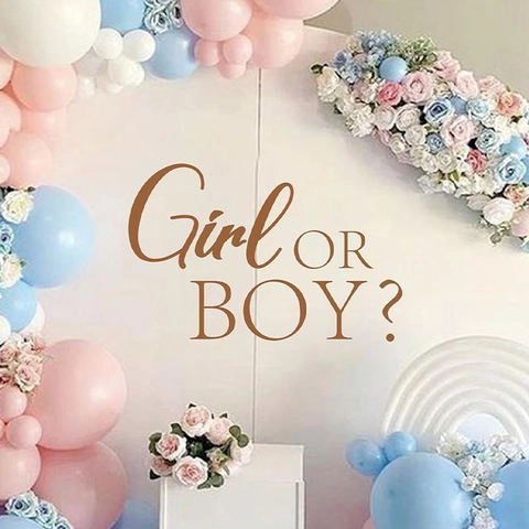 Gender Reveal Party Wall Sticker Brown PVC Girl Or Boy Lettering Decal For Baby Shower Birthday Party Backdrop Decoration