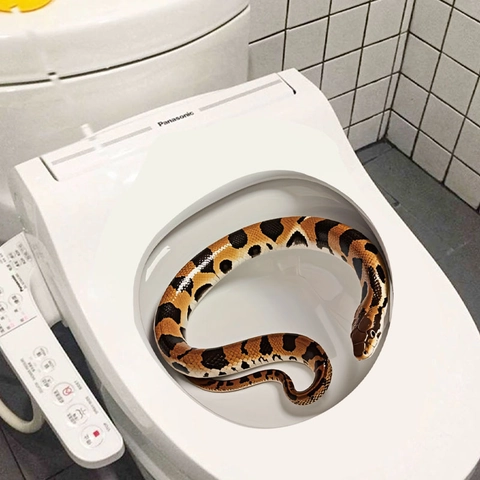 3D Realista Serpiente Adhesivo para Inodoro Baño PVC Removible Impermeable Calcomanía Pared Broma Decoración Minimalista Marrón