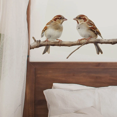 Realistische Vögel Auf Baumzweig Wandaufkleber Wasserdichte PVC Aufkleber Für Küche Wohnzimmer Schlafzimmer Home Decoration