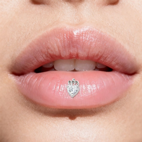 316L Surgical Steel Lip Stud Heart Crown Butterfly Avocado Moon Star Piercing Body Jewelry Not Tarnish Labret Stud