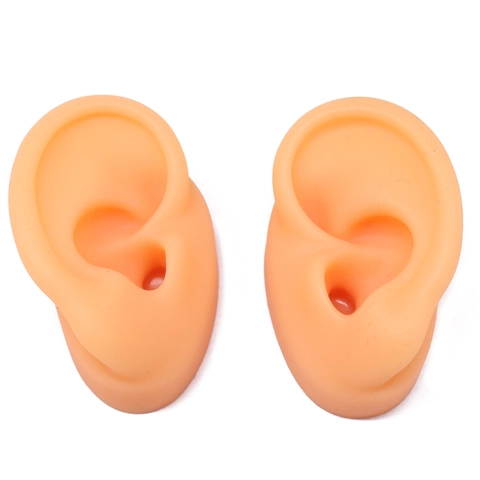 Realistic Silicone Human Ear Model For Earring Jewelry Display Ear Acupuncture Point Medical Teaching Props Display Holder