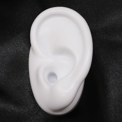 Realistic Silicone Human Ear Model For Earring Jewelry Display Ear Acupuncture Point Medical Teaching Props Display Holder