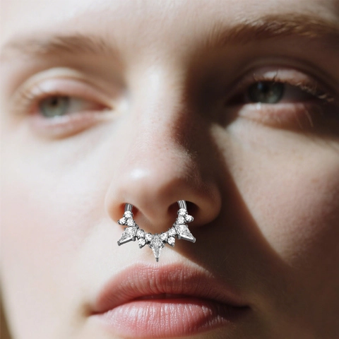 ASTM F136 Titanium Alloy Rhinestone Nose Ring Septum Clicker Segment Hoop Earrings For Women Men Body Piercing Jewelry