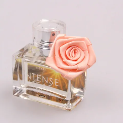 Fiori di Rosa in Nastro di Raso di Poliestere Fatti a Mano Rosa Mini Fiori di Nastro per Matrimonio DIY Artigianato Abbigliamento Decorazione Scatola Regalo