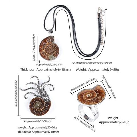 Vintage Natural Ammolite Shell Fossil Jewelry For Women Silver Wrapped Nautilus Ammonite Pendant Necklace Octopus Brooch Adjustable Ring Creative Ocean Jewelry