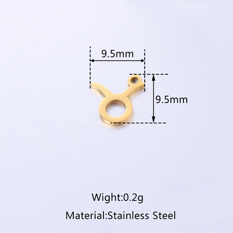 Edelstahl 12 Tierkreiszeichen Anhänger Spiegel Poliert DIY Schmuck Zubehör Für Halsketten Armbänder Basteln