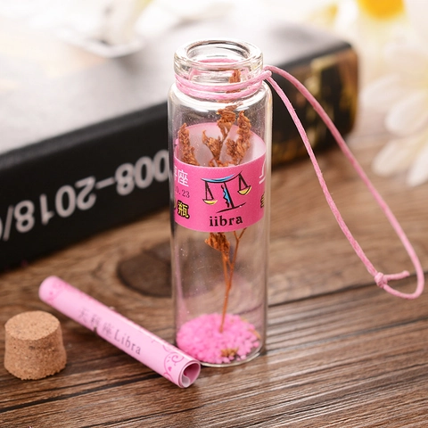 Creative Glass Wishing Bottle Assortment With Constellation Theme Blown Borosilicate Glass Drift Bottle Home Decor Gifts
