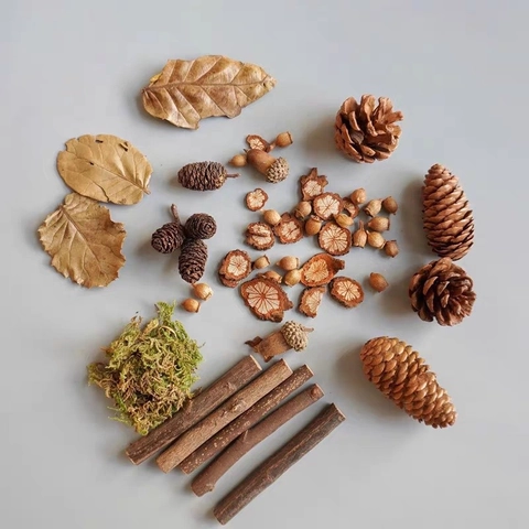 Fleurs Séchées Naturelles Pommes de Pin Glands Feuilles Copeaux de Bois Ensemble DIY Style Forêt Décorations Accessoires Photo