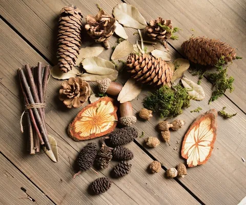 Natürliche Fotografie Requisiten Waldstil DIY Material Sammlung Tannenzapfen Eicheln Moos Holzscheiben Vintage Botanische Deko