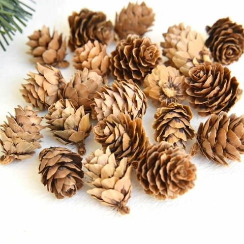Natural Pinecones For DIY Craft Handmade Christmas Thanksgiving Home Decor Rustic Forest Style Pine Cone Ornaments