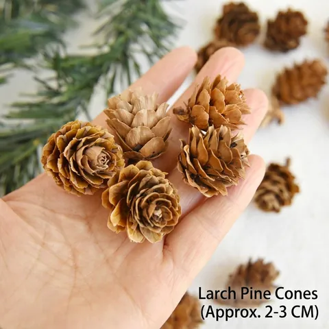 Natural Pinecones For DIY Craft Handmade Christmas Thanksgiving Home Decor Rustic Forest Style Pine Cone Ornaments