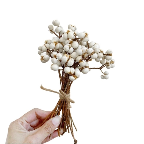 Natürliche Getrocknete Weiße Beere Talgmutter Bündel Für DIY Duftkerze Wachs Material Dekoration Gold Silber Weiß Blume