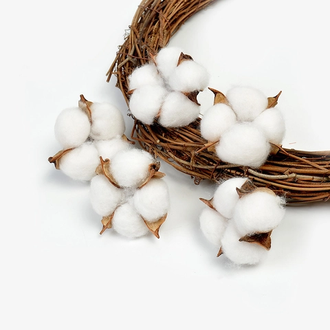 Natürliche Getrocknete Baumwollblütenköpfe Für DIY Kranz Weihnachtsdekoration Weiß Shabby Chic Landhausstil Trockenblumen Heimdekor