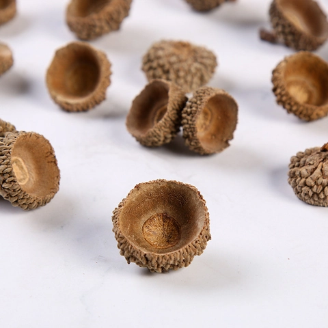Natural Dried Acorn Caps And Seeds For DIY Floral Autumn Decoration Rustic Acorns For Christmas Wreath Craft Decorating
