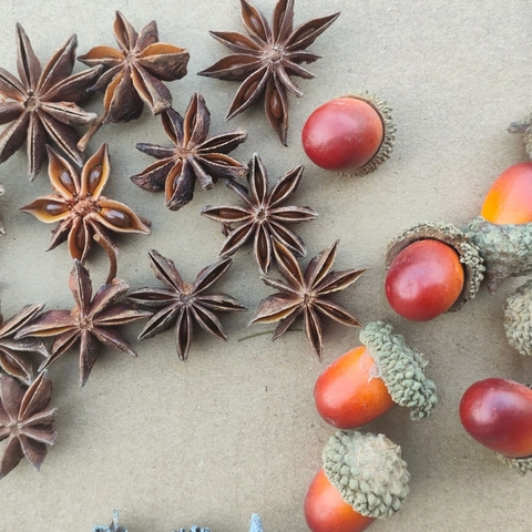 Weihnachten DIY Dekoration Material Kit Natürliche Zimtstangen Getrocknete Orangen Kiefernzapfen Eicheln Moos Für Handwerk