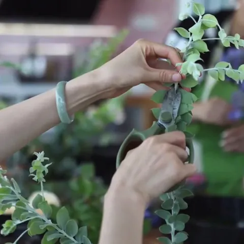Nordischer Stil Getrockneter Eukalyptus Und Baumwolle Blumenstrauß Für Wohndekoration Minimalistisches Künstliches Grün