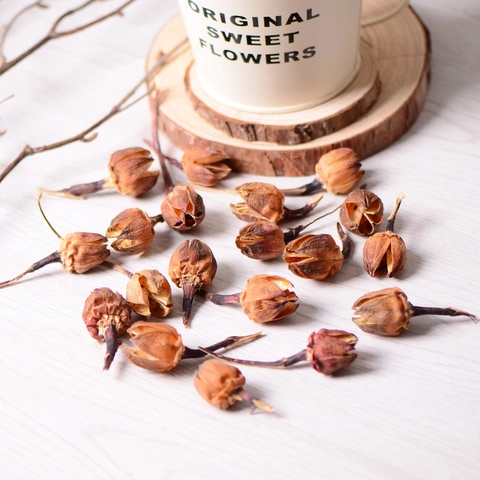 Guscio di Frutta di Rosa Essiccata Naturale Stile Foresta Decorazione Ghirlanda di Natale Artigianato Fai da Te Puntelli Foto