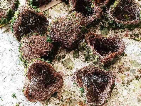 Vaso di Fiori in Muschio e Vite Fatto a Mano Forma di Cuore Rotondo per Piante Grasse Stile Foresta Naturale Decorazione da Giardino