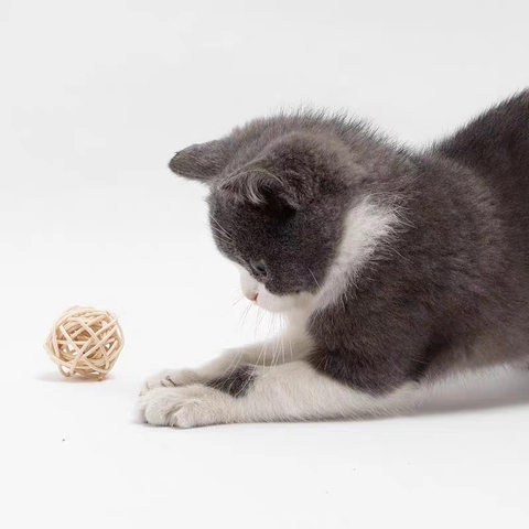 Balle De Jeu Interactive Pour Chat En Rotin Tressé Avec Clochette Jouet De Chasse Pour Chatons D'Intérieur