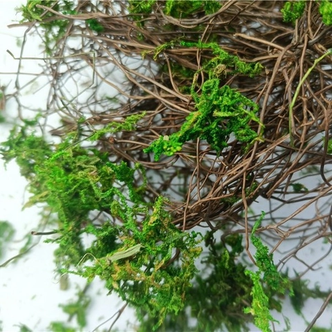 Mikro Landschaft Natürliche Getrocknete Reben Und Grünes Moos DIY Landschaftsbau Dekoratives Material Kit Für Aquarium Terrarium