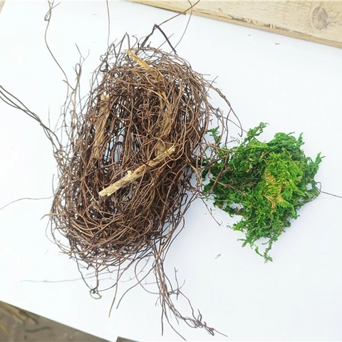 Mikro Landschaft Natürliche Getrocknete Reben Und Grünes Moos DIY Landschaftsbau Dekoratives Material Kit Für Aquarium Terrarium