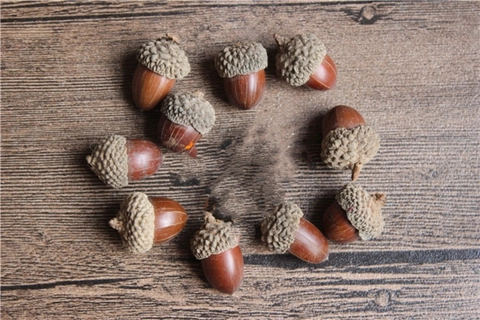 Ghiande Essiccate Naturali Con Cappucci Per Decorazioni Natalizie Casa Fai Da Te Materiale Per Ghirlande Oggetti Di Scena Pastorali