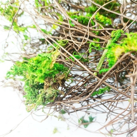 Artificial Moss Green Plant Simulation Dried Moss For Micro Landscape Decoration Garden DIY Vase Fillers Home Decor Accessories