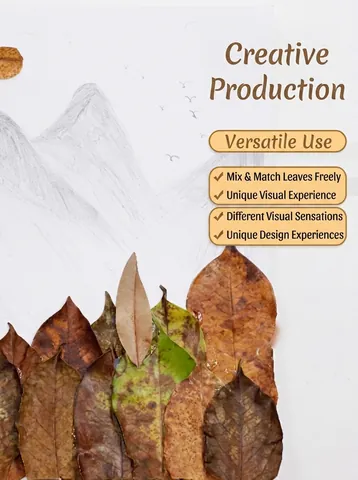 Natural Dried Leaves Specimen For Wedding Photography Background Autumn Decoration Fall Foliage For Home Window Display