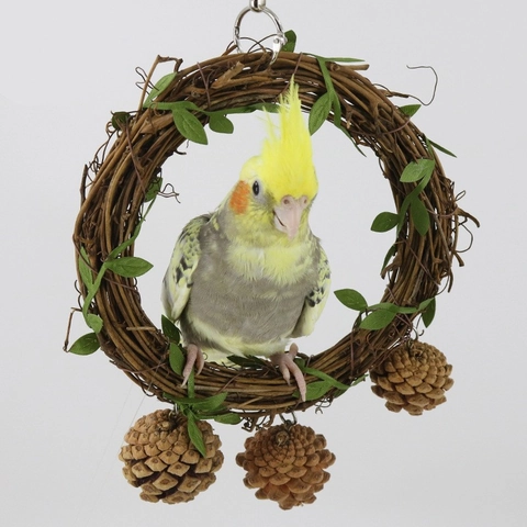 Natural Vine Bird Toy Wreath With Green Leaves And Pinecones Parrot Swing Perch For Small Medium Birds Home Decoration