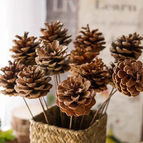 Natürliche Getrocknete Zapfen Blume Mit Stiel Für Weihnachten DIY Basteln Hochzeit Party Home Decor Rustikale Fotografie Requisiten