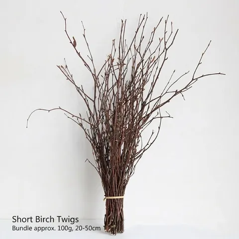 Natürliche Getrocknete Birkenzweige Bündel Dekorative Holzstäbe Für Zuhause Büro Rustikale Fotorequisiten DIY Blumenarrangement
