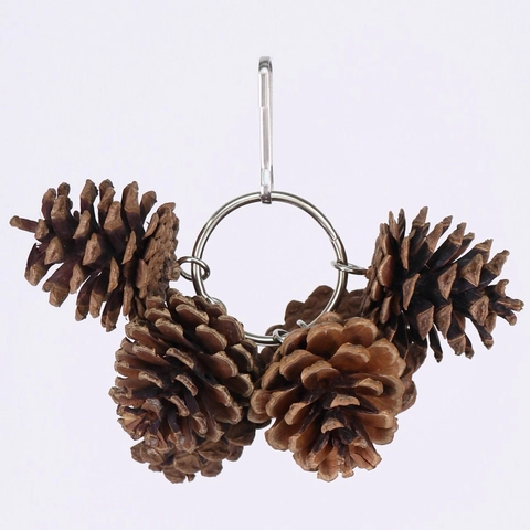 Natural Pine Cone Bird Toy Parrot Chewing Foraging Toy Hanging Bird Cage Decoration Metal Clip Wood Toy For Small Animal