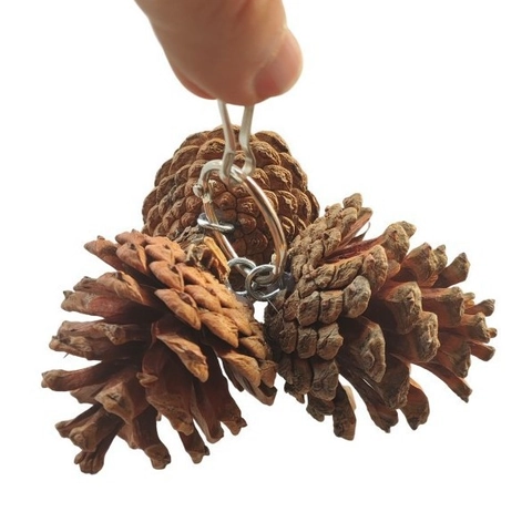 Natural Pine Cone Bird Toy Parrot Chewing Foraging Toy Hanging Bird Cage Decoration Metal Clip Wood Toy For Small Animal