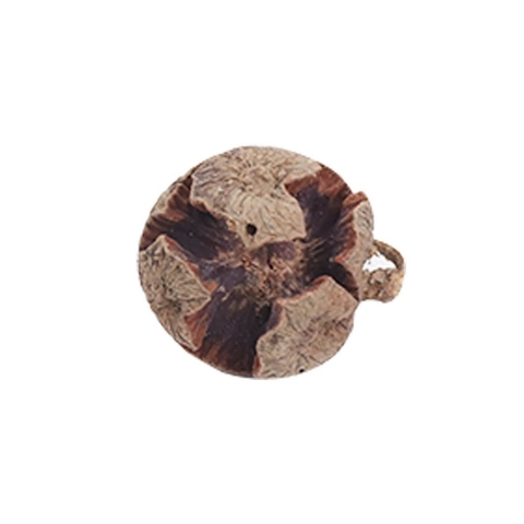 Natürliche Getrocknete Fußballfrucht Holz Dekoration Für Weihnachten Hochzeit Zuhause Dekor Blumenarrangement Bastelmaterialien