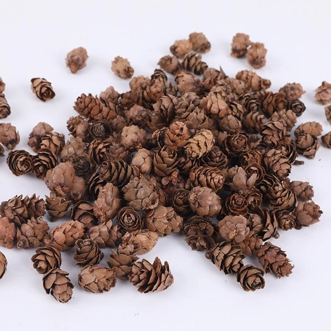 Piñas Pequeñas Secas Naturales Paquete de 1kg Para Decoraciones de Navidad DIY Manualidades Adorno para el Hogar Rústico Otoño