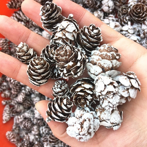 Mini Pommes de Pin Naturelles Décoration de Noël pour la Maison DIY Artisanat Effet Neige Ornement Rustique en Bois