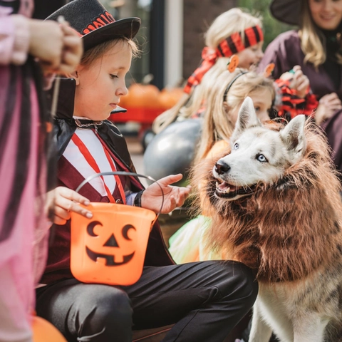 Halloween Kürbis Eimer Süßigkeiten Pail Kunststoff Jack O Lantern Trick Or Treat Behälter Tragbare Kürbis Glas Party Deko
